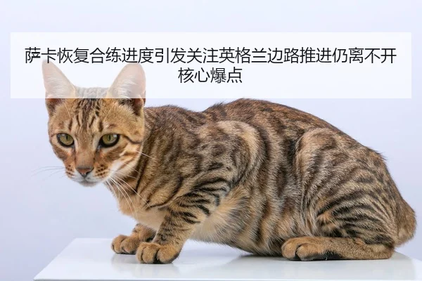 萨卡恢复合练进度引发关注英格兰边路推进仍离不开核心爆点