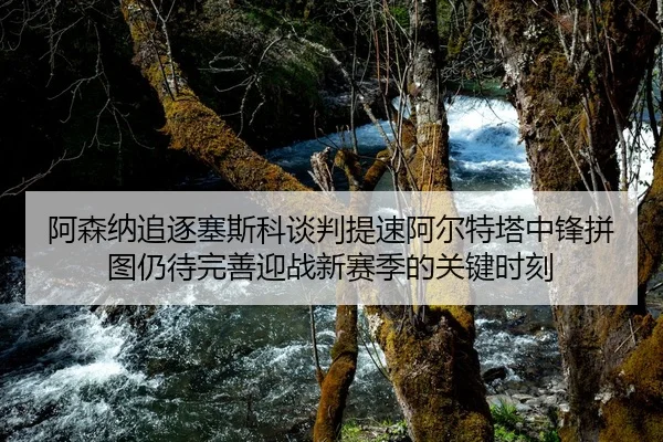 阿森纳追逐塞斯科谈判提速阿尔特塔中锋拼图仍待完善迎战新赛季的关键时刻