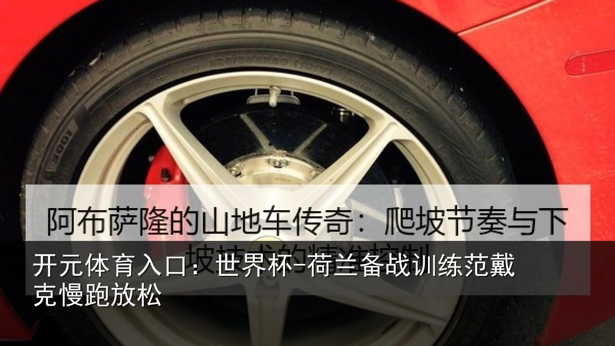 开元体育入口：世界杯-荷兰备战训练范戴克慢跑放松