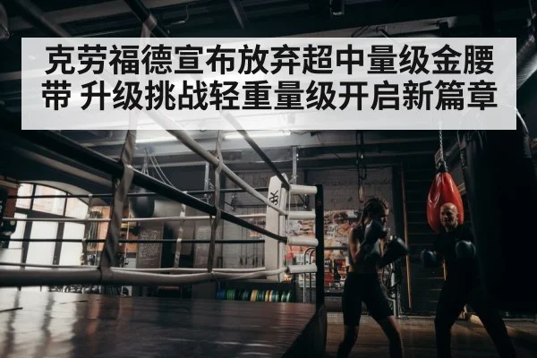 boxer training gym